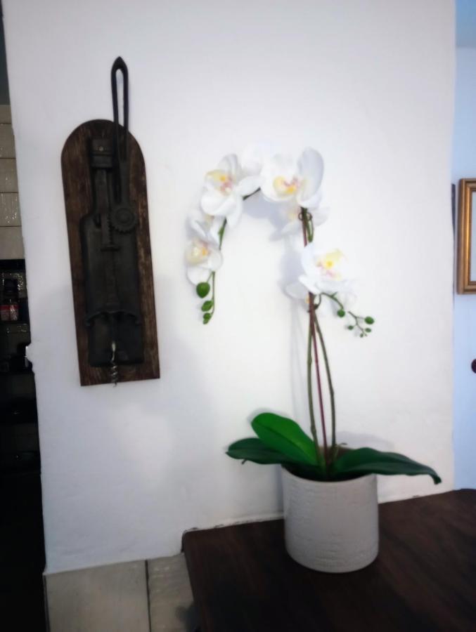 阿尔科斯-德拉弗龙特拉Casa Jaruf Centro Historico Parking Gratuito Patio Petfriendly公寓 外观 照片